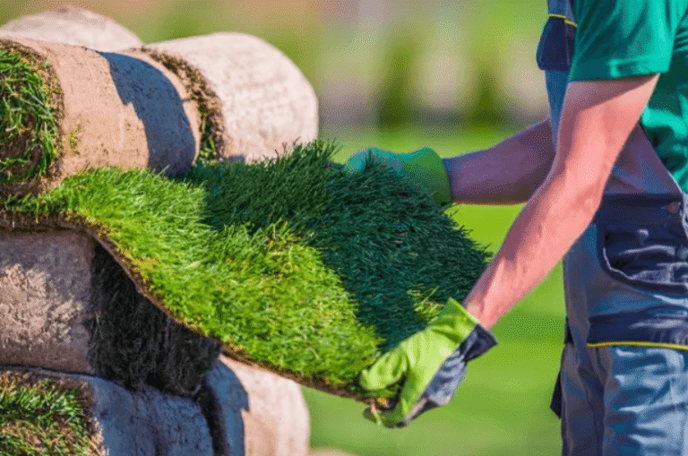 What Makes a Wollongong Turf Order Go Smoothly